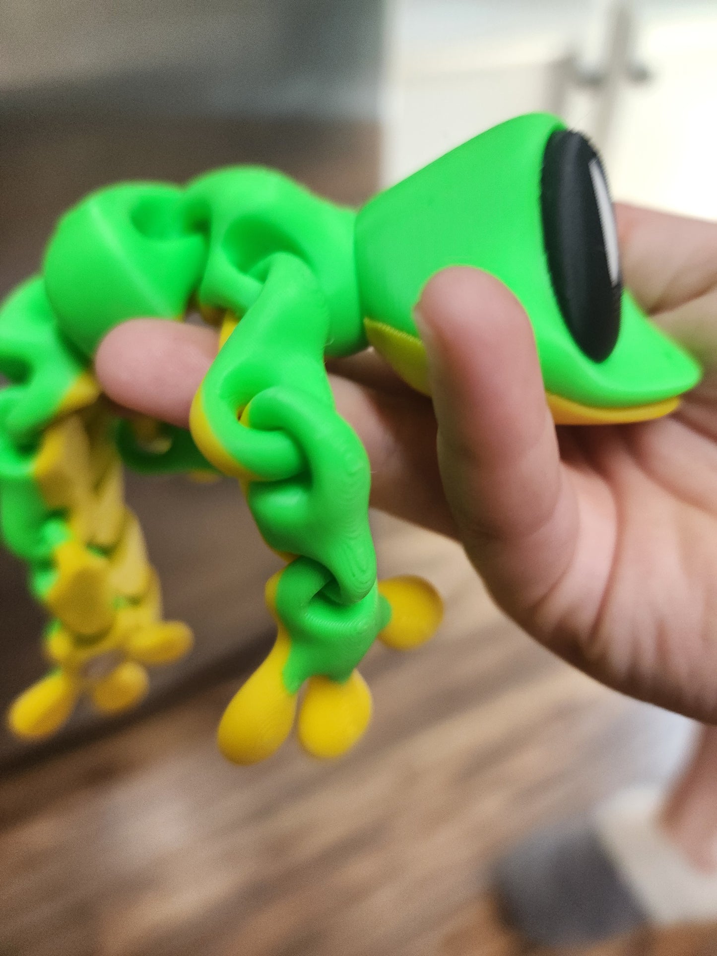 Lizard Magnet