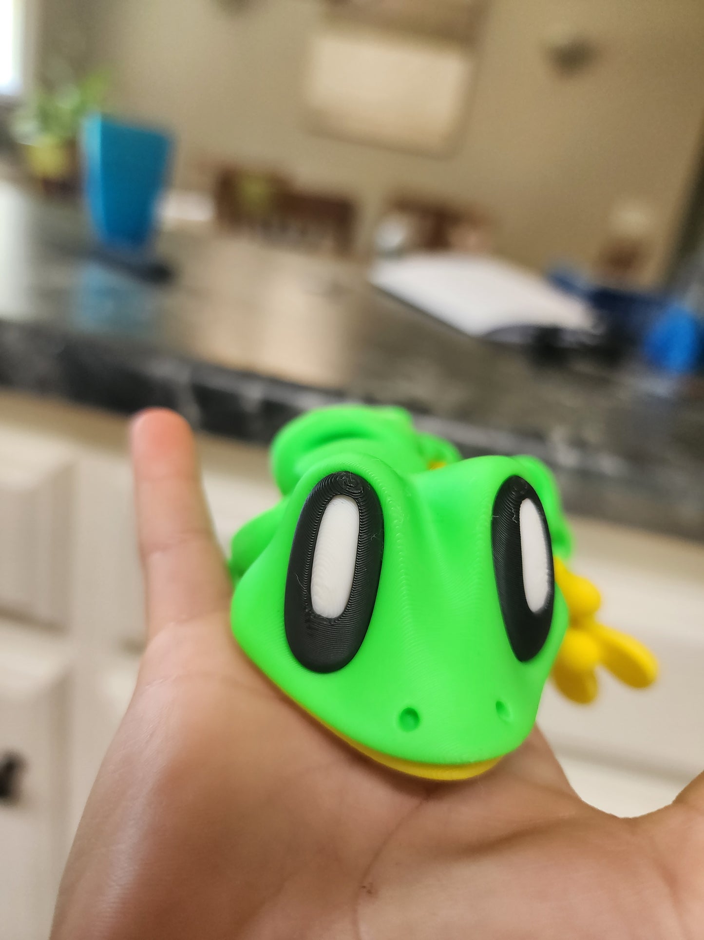 Lizard Magnet
