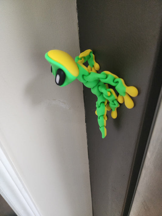 Lizard Magnet